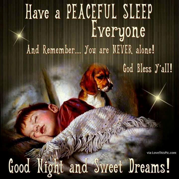 10 Touching & Inspiring Good Night Quotes - picture 7