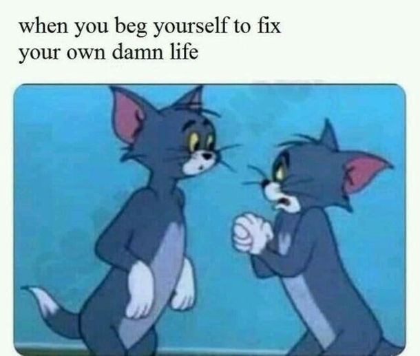 10 True But Hilarious Memes About Life - picture 3