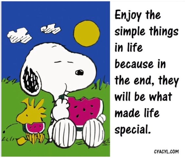 10 True Life Quotes And Sayings - picture 11