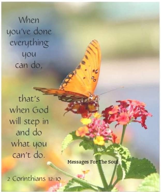 10 True Life Quotes With Wisdom - picture 2