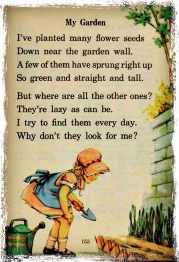 10 True Life Quotes With Wisdom - picture 7