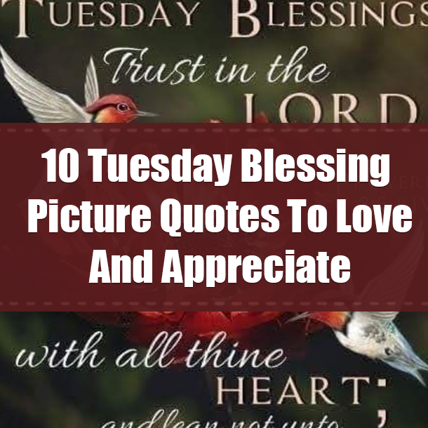 10 Tuesday Blessing Picture Quotes To Love And Appreciate