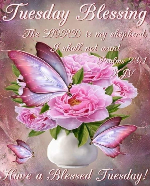 10 Tuesday Blessing Picture Quotes To Love And Appreciate - picture 10