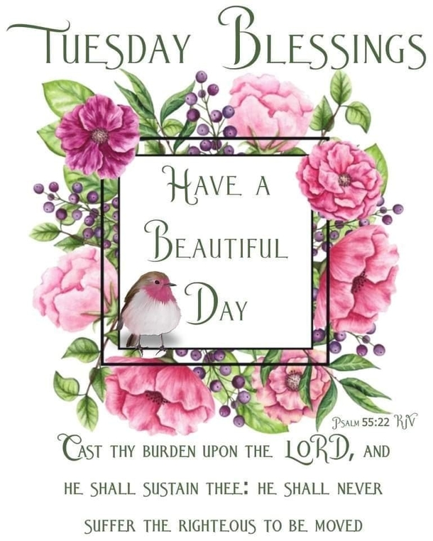 10 Tuesday Blessing Picture Quotes To Love And Appreciate - picture 11