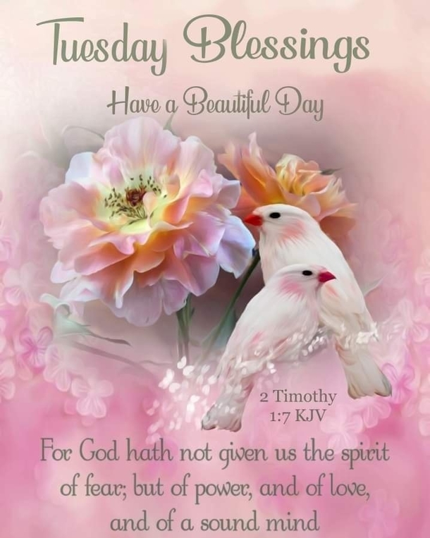 10 Tuesday Blessing Picture Quotes To Love And Appreciate - picture 12