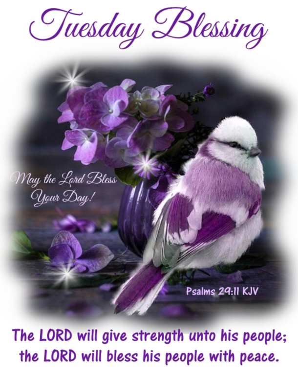 10 Tuesday Blessing Picture Quotes To Love And Appreciate - picture 2