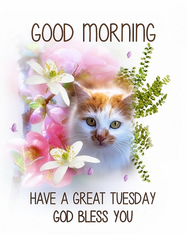 10 Tuesday Blessing Picture Quotes To Love And Appreciate - picture 3