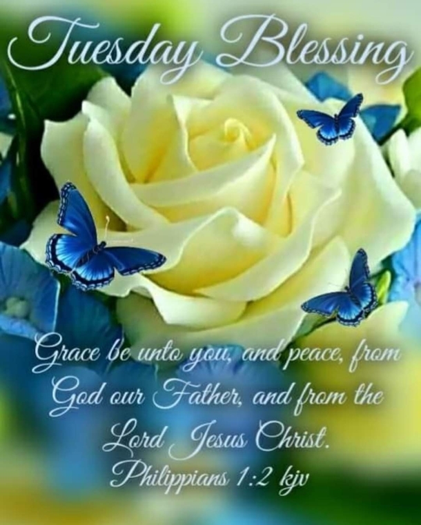 10 Tuesday Blessing Picture Quotes To Love And Appreciate - picture 4