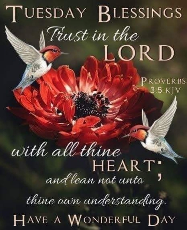 10 Tuesday Blessing Picture Quotes To Love And Appreciate - picture 5