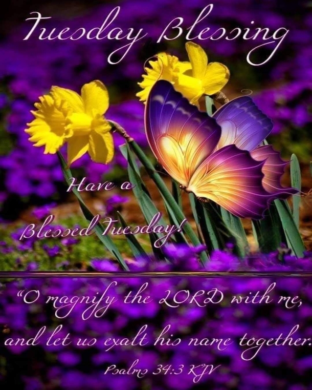 10 Tuesday Blessing Picture Quotes To Love And Appreciate - picture 7