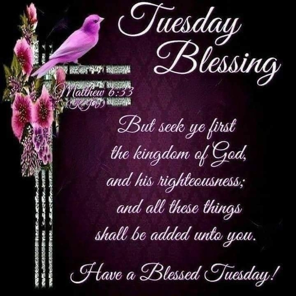 10 Tuesday Blessing Picture Quotes To Love And Appreciate - picture 9
