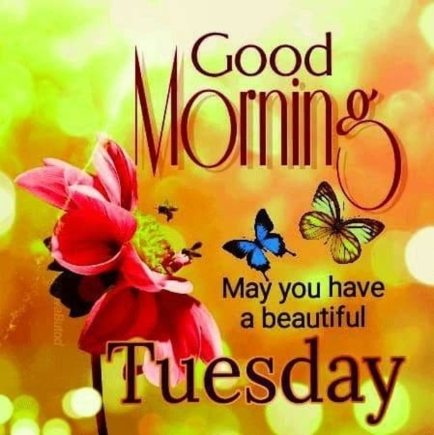 10 Tuesday Blessings 2023 To Inspire Your Day - picture 7