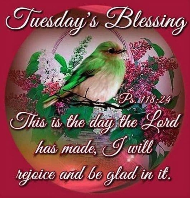 10 Tuesday Blessings 2023 To Inspire Your Day - picture 8