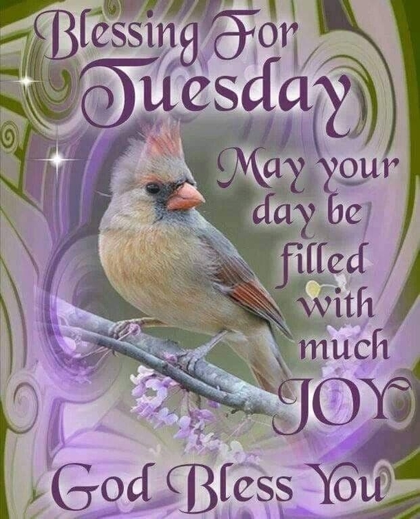 10 Tuesday Blessings 2023 To Inspire Your Day - picture 9