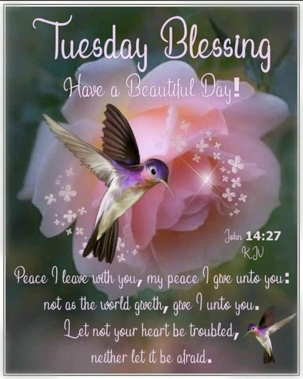 10 Tuesday Blessings And Quotes For A Productive Week - picture 11