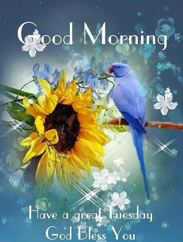 10 Tuesday Blessings And Quotes For A Productive Week - picture 4