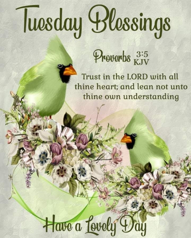 10 Tuesday Blessings And Quotes For A Productive Week - picture 5