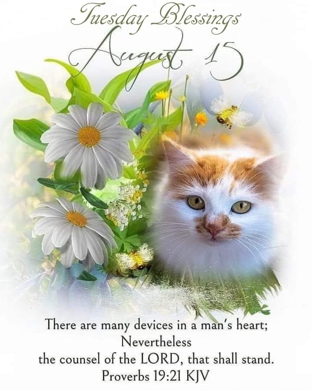 10 Tuesday Blessings And Quotes For A Productive Week - picture 7