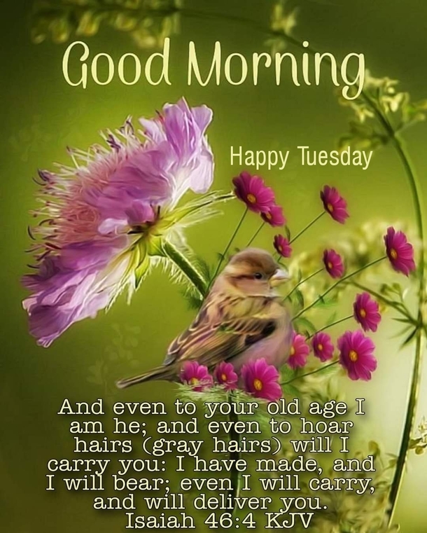 10 Tuesday Good Morning Quotes That'll Shower Your Day With Blessings - picture 10
