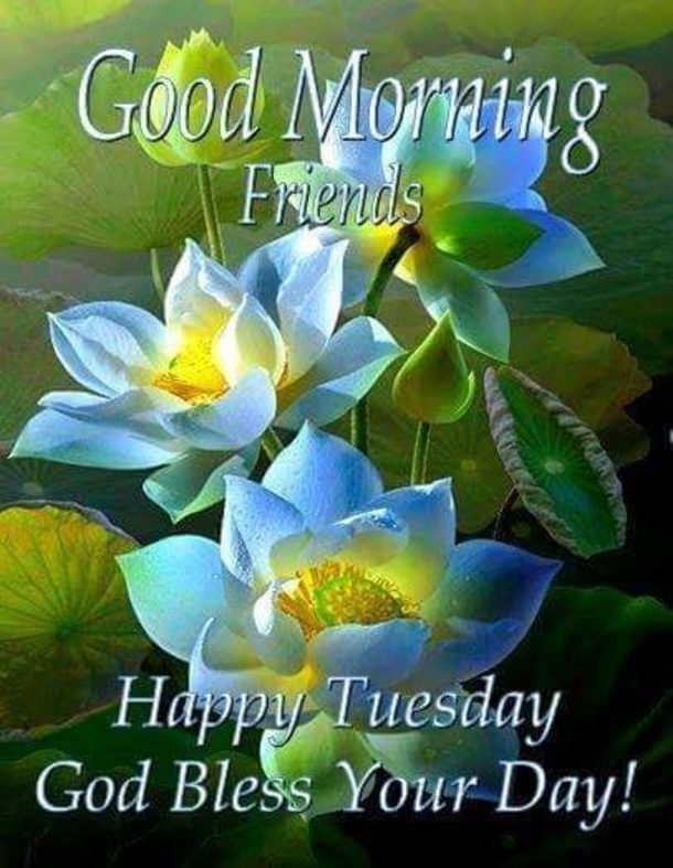 10 Tuesday Good Morning Quotes That'll Shower Your Day With Blessings - picture 11