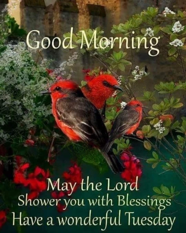 10 Tuesday Good Morning Quotes That'll Shower Your Day With Blessings - picture 2