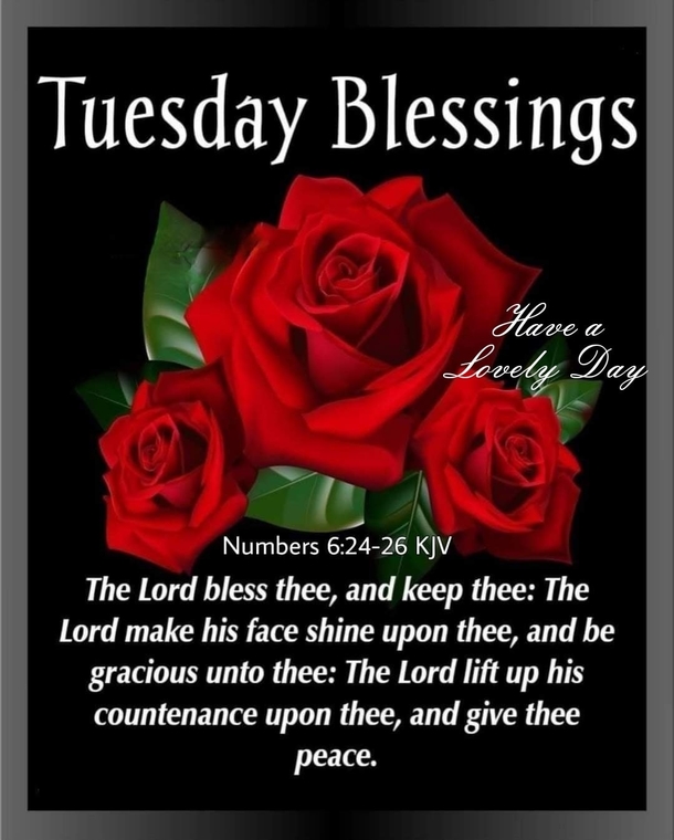10 Tuesday Good Morning Quotes That'll Shower Your Day With Blessings - picture 3