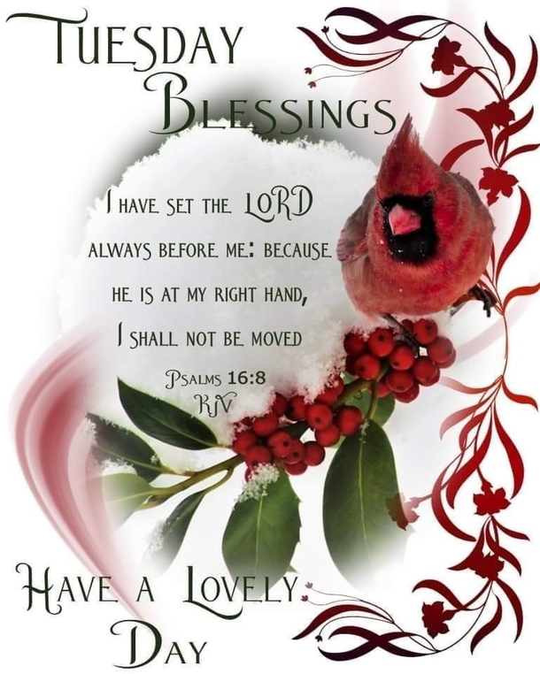 10 Tuesday Good Morning Quotes That'll Shower Your Day With Blessings - picture 4
