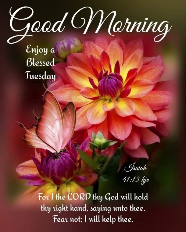 10 Tuesday Good Morning Quotes That'll Shower Your Day With Blessings - picture 5