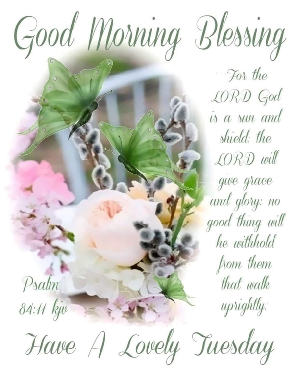 10 Tuesday Good Morning Quotes That'll Shower Your Day With Blessings - picture 6