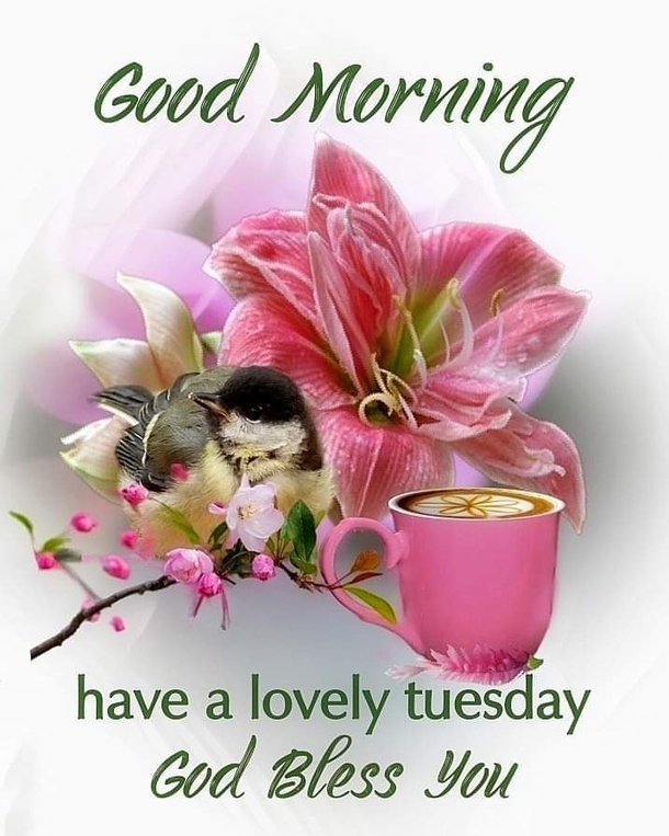 10 Tuesday Good Morning Quotes That'll Shower Your Day With Blessings - picture 7