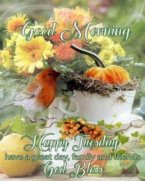 10 Tuesday Good Morning Quotes That'll Shower Your Day With Blessings - picture 8