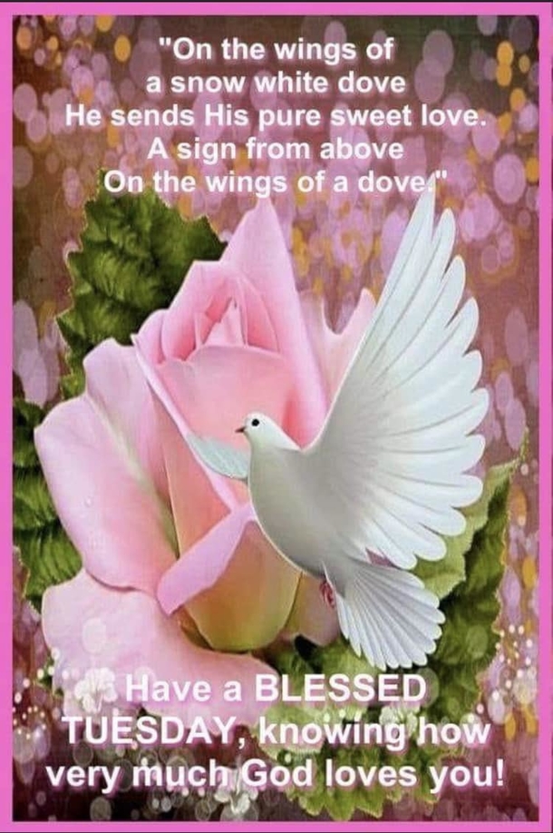 10 Tuesday Morning Blessings To Empower Your Day - picture 11