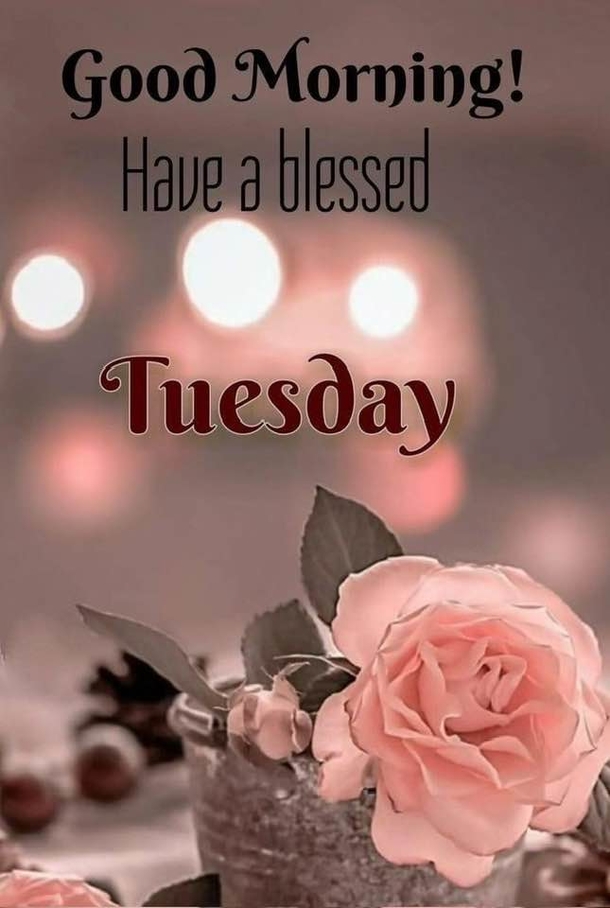 10 Tuesday Morning Blessings To Empower Your Day - picture 8