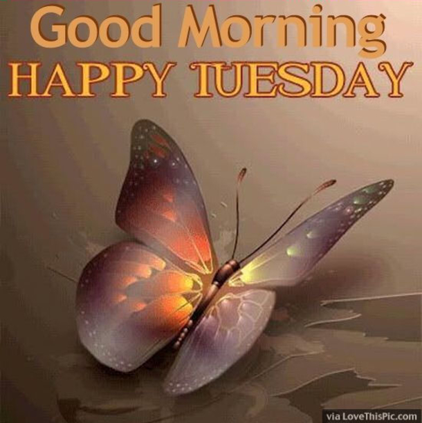 10 Tuesday Morning Quotes To Brighten Your Day - picture 10