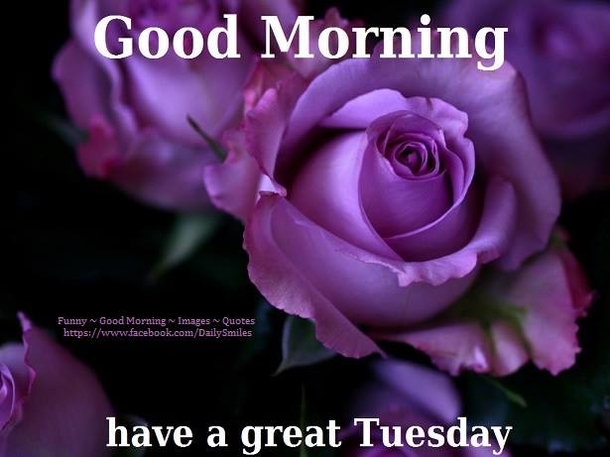 10 Tuesday Morning Quotes To Brighten Your Day - picture 11