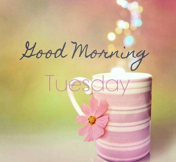 10 Tuesday Morning Quotes To Brighten Your Day - picture 4