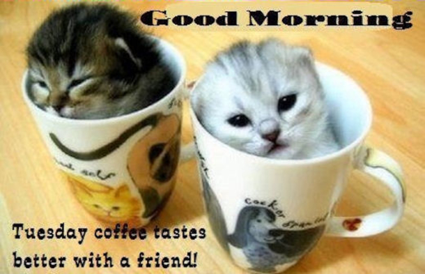 10 Tuesday Morning Quotes To Brighten Your Day - picture 6