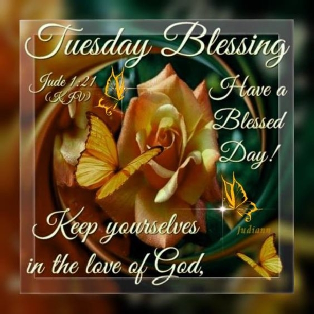 10 Tuesday Pics & Images With Quotes - picture 11