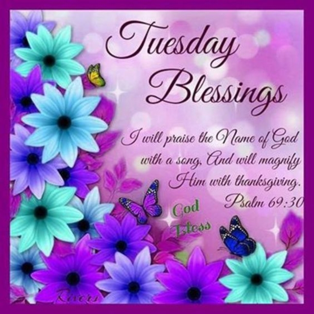 10 Tuesday Pics & Images With Quotes - picture 12