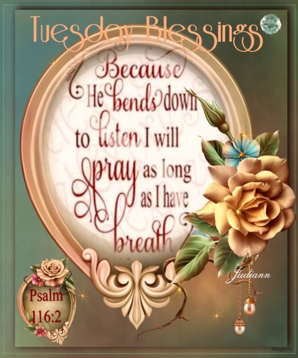 10 Tuesday Pics & Images With Quotes - picture 4