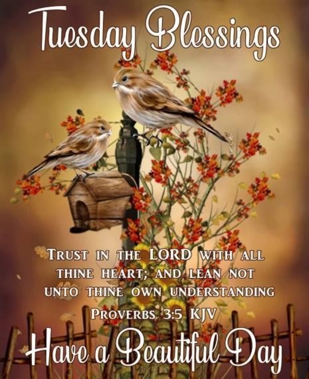 10 Tuesday Pics & Images With Quotes - picture 8