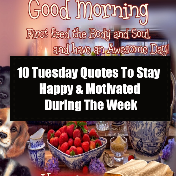 10 Tuesday Quotes To Stay Happy & Motivated During The Week