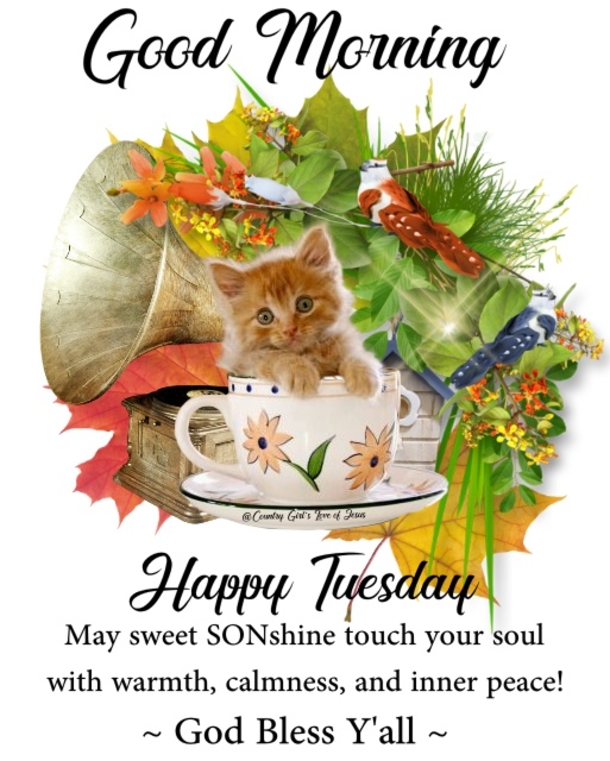 10 Tuesday Quotes To Stay Happy & Motivated During The Week - picture 10