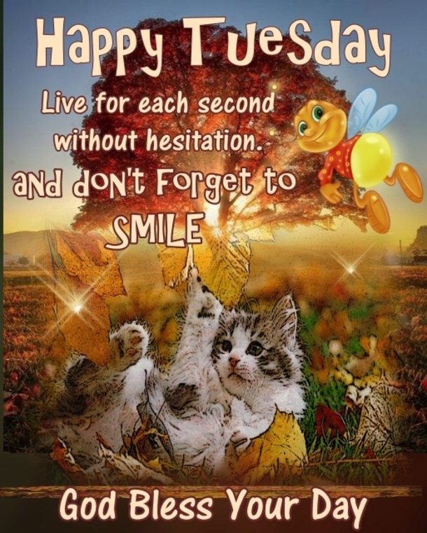 10 Tuesday Quotes To Stay Happy & Motivated During The Week - picture 11