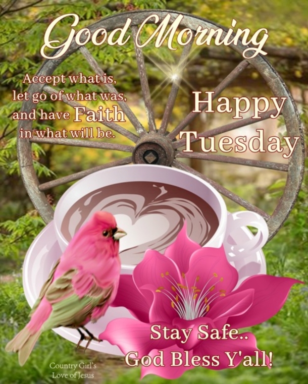 10 Tuesday Quotes To Stay Happy & Motivated During The Week - picture 8