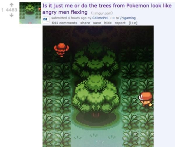 10 Unbelievable Funny Things You Gotta See - picture 16