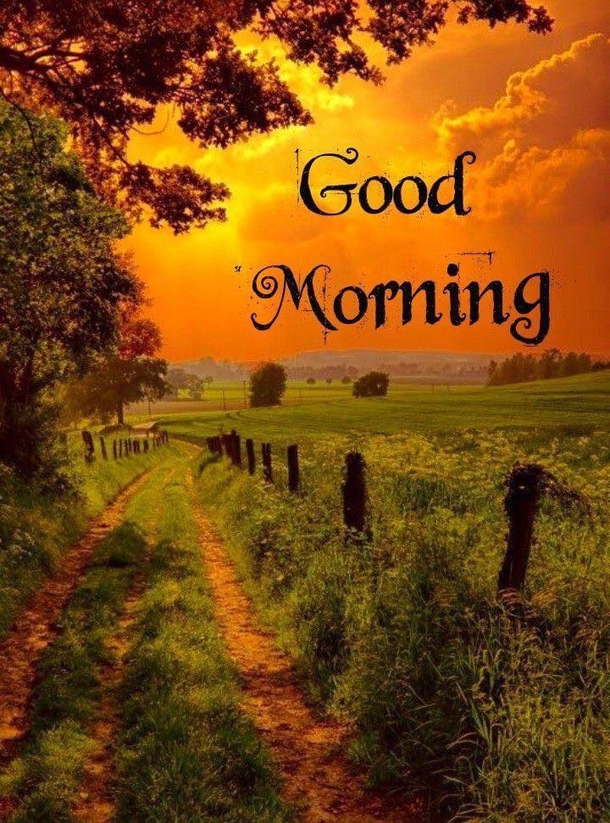 10 Unique Good Morning Quotes And Pics - picture 9