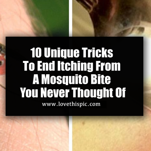 10 Unique Tricks To End Itching From A Mosquito Bite You Never Thought Of