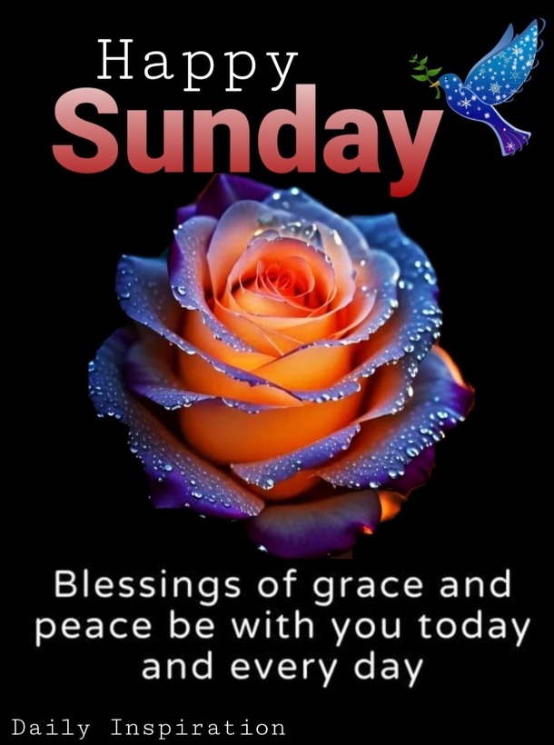 10 Uplifting Happy Sunday Quotes to Start Your Week with Joy - picture 4