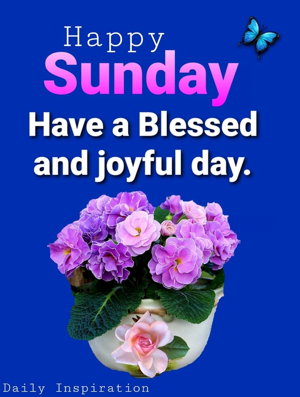 10 Uplifting Happy Sunday Quotes to Start Your Week with Joy - picture 7